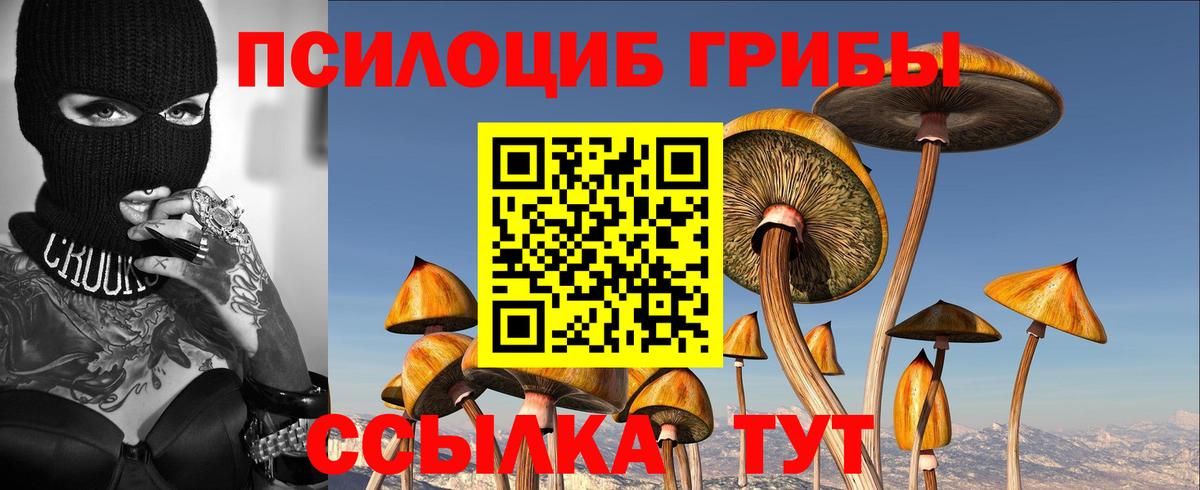 Гудермес  наркотики  Вход с VPN  Галлюциногенные грибы мухоморы 